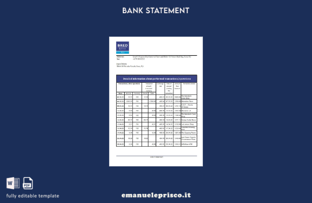 modello Excel di estratto conto bancario Fiji Bred in stile verificato